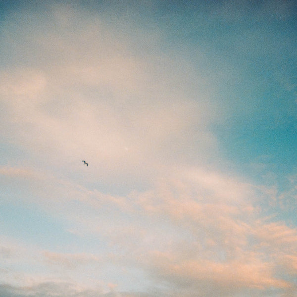 So könnten deine Bilder aussehen!